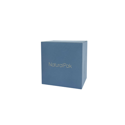 Hellblauer Uhr-Halter prägte Logo Watch And Bracelet Box